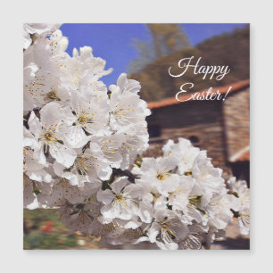Happy Easter.Cherry Blossom.