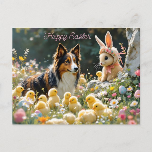 Happy Easter Collie and Chicks Postcard (Front)