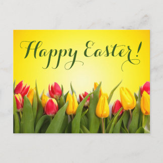 Happy Easter Colourful Spring Tulips Script Postcard