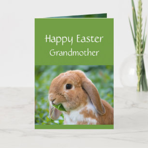 Happy Easter Cute Bunny Special Grandmother Holiday Card