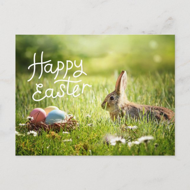 Happy Easter Cute Bunny with Colourful Easter Eggs Postcard (Front)
