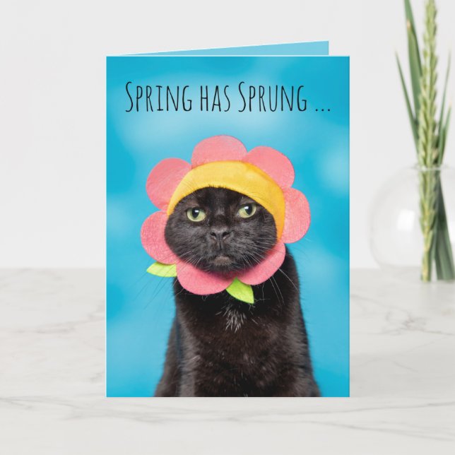 Happy Easter Cute Cat in Flower Hat Humour Holiday Card (Front)