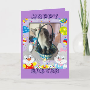 Happy Easter for a cat lover Holiday Card