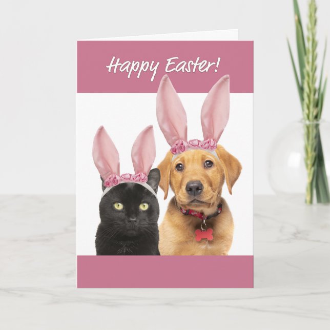 Happy Easter For Anyone Cat and Dog in Bunny Ears Holiday Card (Front)
