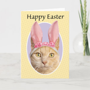 Happy Easter For Anyone Cute Orange Tabby Cat  Holiday Card