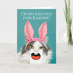 Happy Easter For Anyone Funny Cat With Open Mouth  Holiday Card