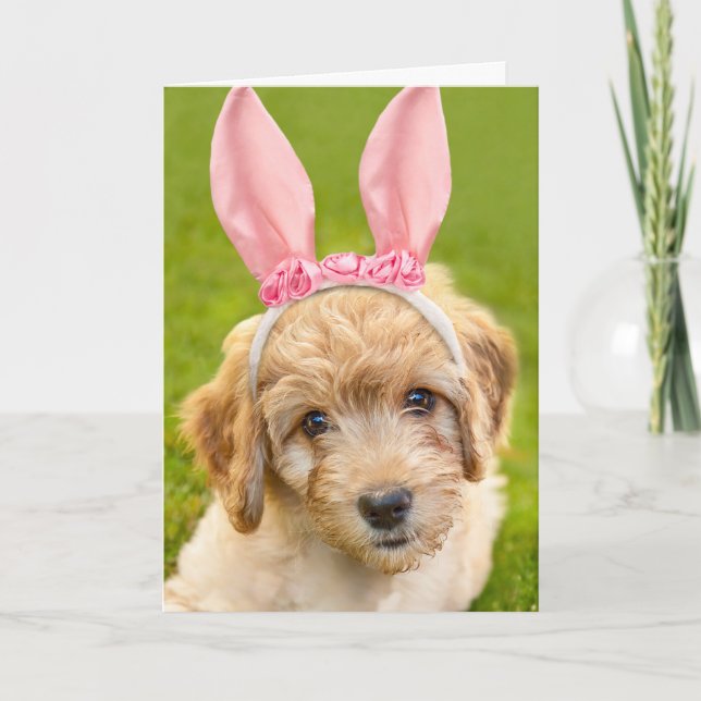 Happy Easter For Anyone Labradoodle Puppy Don in B Holiday Card (Front)