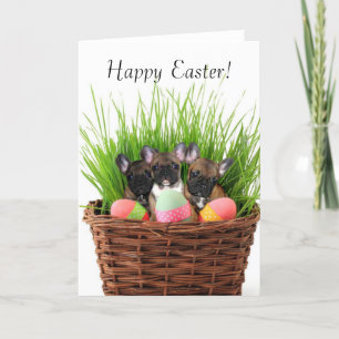 Happy Easter French bulldog puppies greeting card