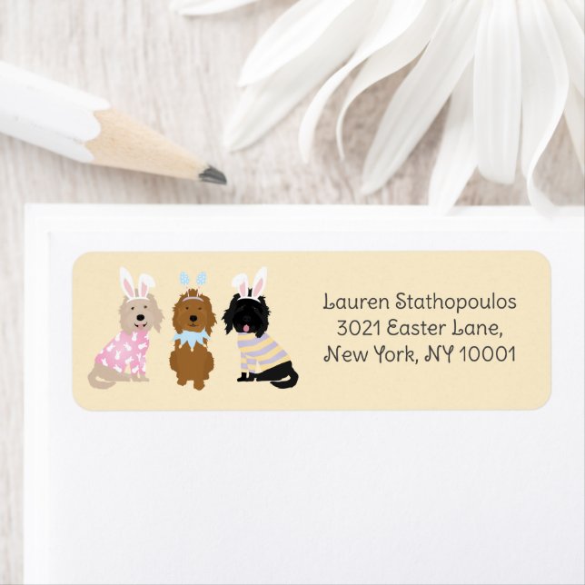 Happy Easter Goldendoodle Dogs (Insitu)