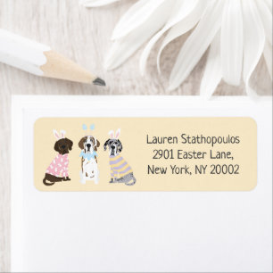 Happy Easter Great Dane Dogs