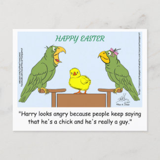 Happy Easter! "Harry looks angry because people ke Postcard