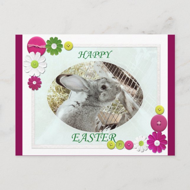 Happy Easter Holiday Postcard (Front)