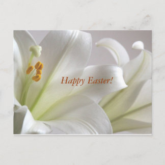 Happy Easter Holiday Postcard