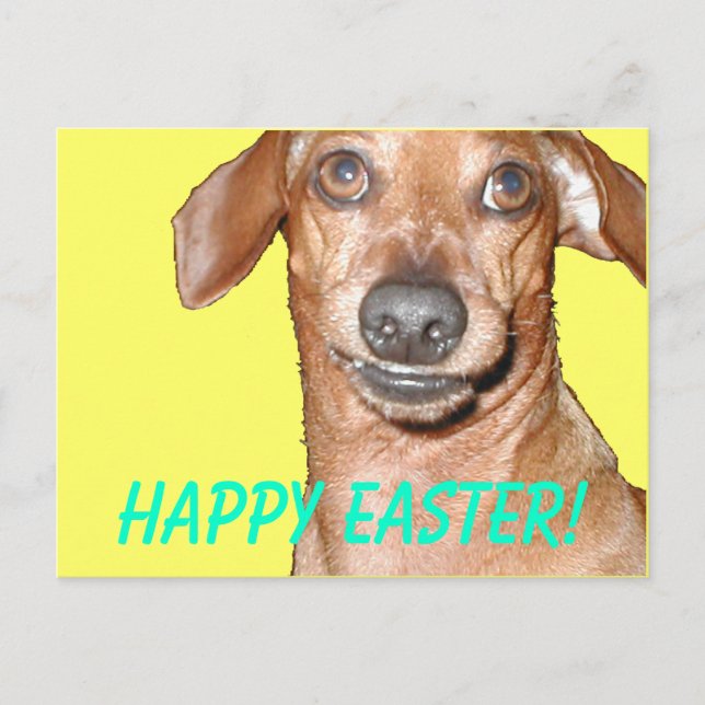 Happy Easter! Holiday Postcard (Front)