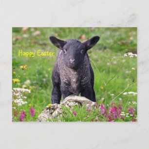 Happy Easter Holiday Postcard