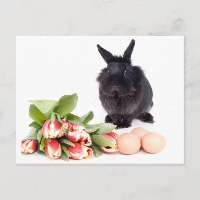 Happy Easter Holiday Postcard (Front)