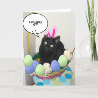 Happy Easter Kitty Humour Holiday Card