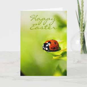 Happy Easter Ladybird On A Horthorn Bush - Spring Holiday Card