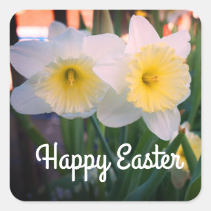 Happy Easter Large-Cupped Daffodil Stickers