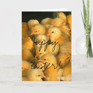 Happy Easter! Lots of Chicks Holiday Card