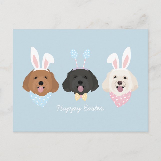 Happy Easter Maltipoo Dogs Postcard (Front)