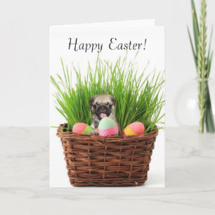 Happy Easter pug puppy greeting card