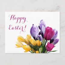 Happy Easter purple yellow crocus pink tulip cute