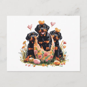 Happy Easter Rottweiler Dogs Holiday Postcard