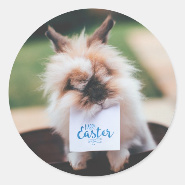 HAPPY EASTER ROUND STICKER CUSTOMIZABLE BUNNY (Front)