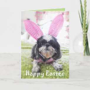 Happy Easter Shitzu Bunny Greeting Card