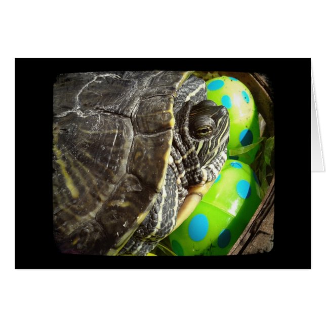 Happy Easter Turtle (Front Horizontal)