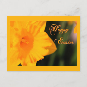 Happy Easter Yellow Spring Daffodil Flower Holiday Postcard
