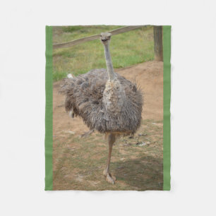 Happy emu standing on one leg blanket