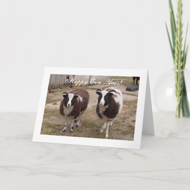 "Happy Ewe Year" Jacob Sheep New Year Card (Front)