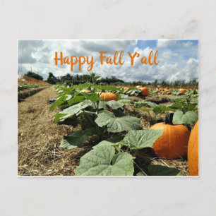 Happy Fall Pumpkins in a Patch Photo Postcard
