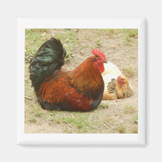 Happy Family - Rooster & Chicken 2" Magnet