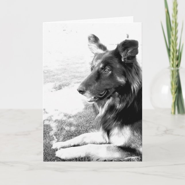 Happy Father's Day Belgian Shepherd Dog Card (Front)