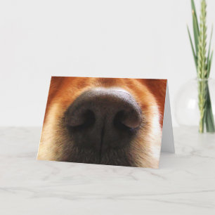 Happy Father's Day from Dog. Steak Card