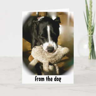 Happy Father's Day from the Dog Card
