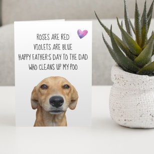 Happy Father's Day From the Dog Cute Funny Card