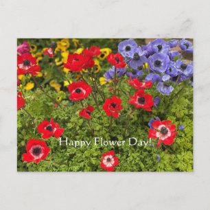 Happy Flower Day! Postcard