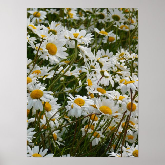 Happy Flower Meadow - Happy face smiling daisy Poster (Front)