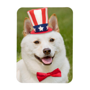 Happy Fourth of July Shiba Inu Dog in Hat Magnet