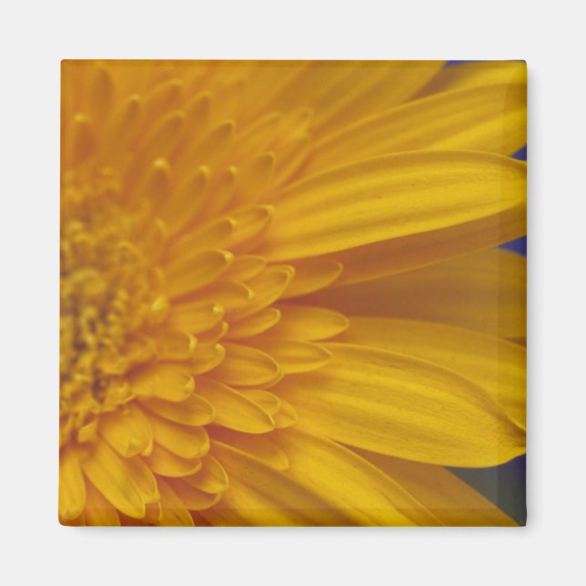 Happy Gerber  Square Magnet (Front)