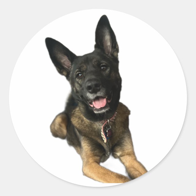 Happy German Shepard style dog sticker (Devant)