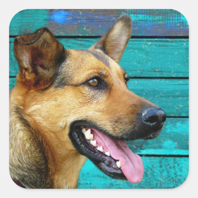 Happy German Shepherd dog Square Sticker (Front)