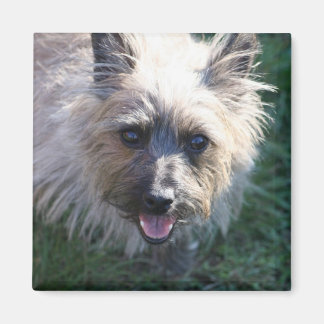 Happy Girl Magnet