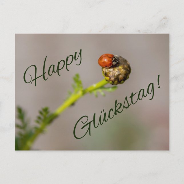 Happy Glückstag - mit Marienkäfer! Postcard (Front)