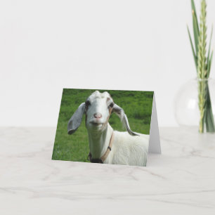 Happy Goat Card