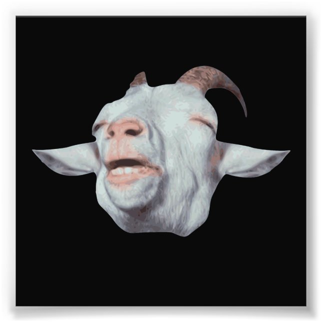 Happy Goat is Faded Photo Print (Front)